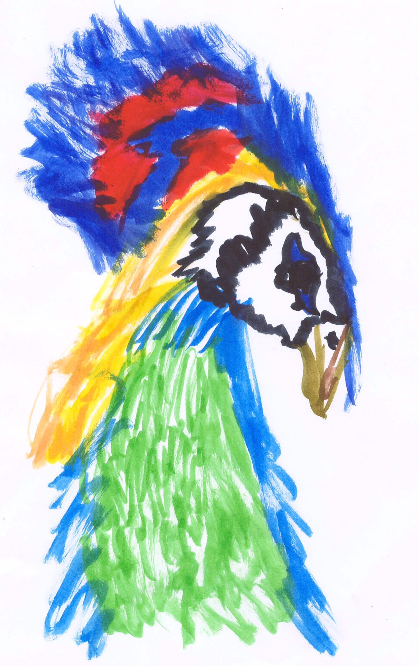 Beautiful watercolor parrot artwork by Alice